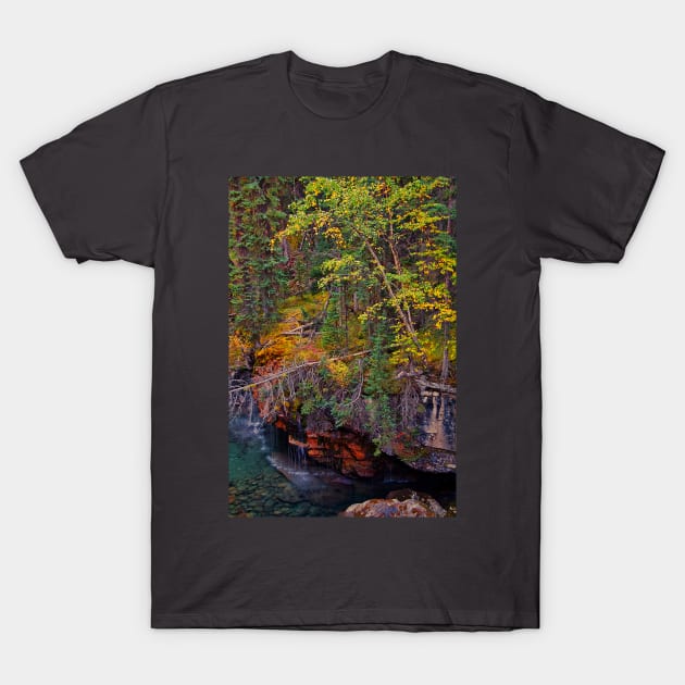 Canada. Canadian Rockies. Jasper NP. Maligne Canyon. Fall Colors. T-Shirt by vadim19